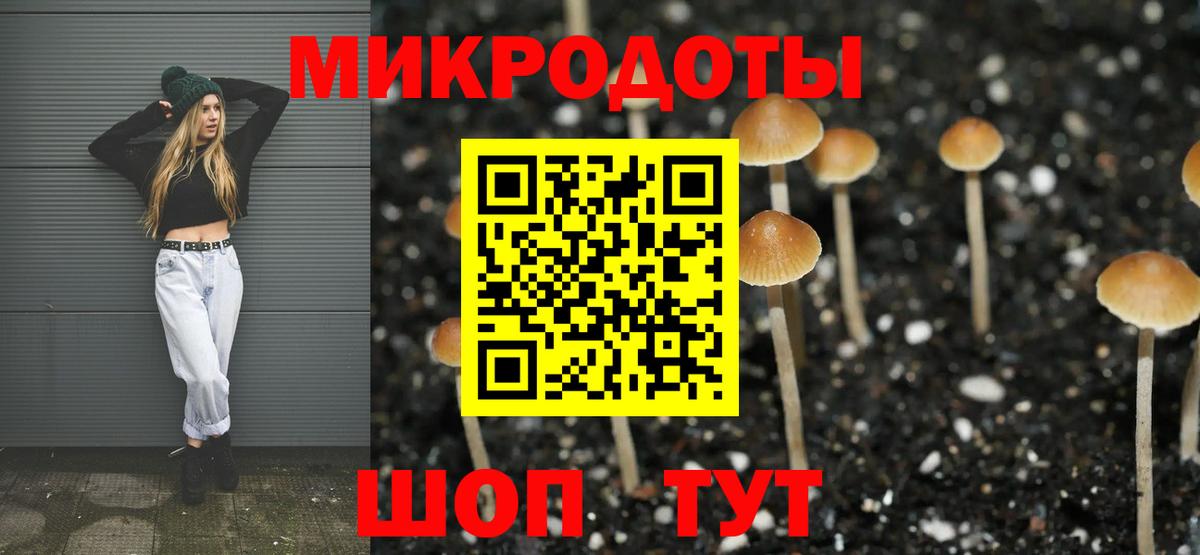 Лабытнанги  Галлюциногенные грибы прущие грибы  Вход с VPN  Псилоцибиновые грибы мицелий 